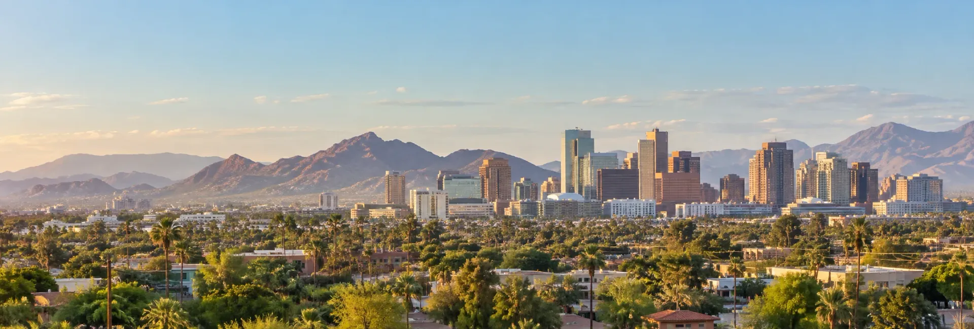 AI-generated illustration of a Phoenix-inspired local view